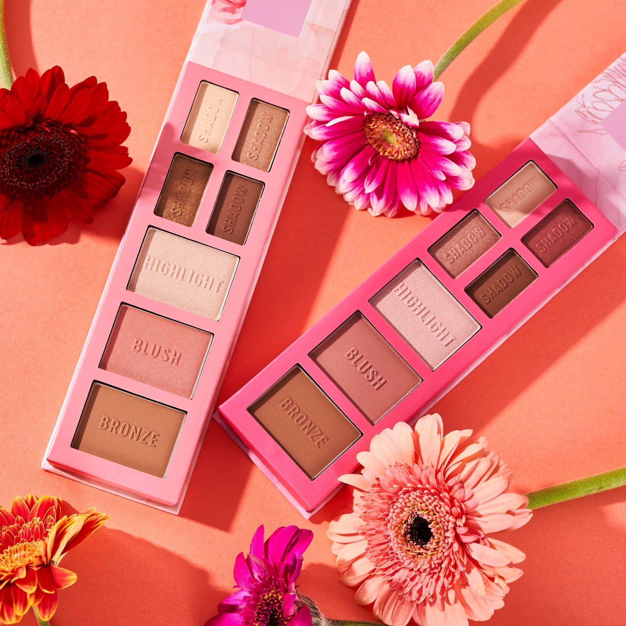 PALETTE FARD A PAUPIERES THE BROWN edition essence