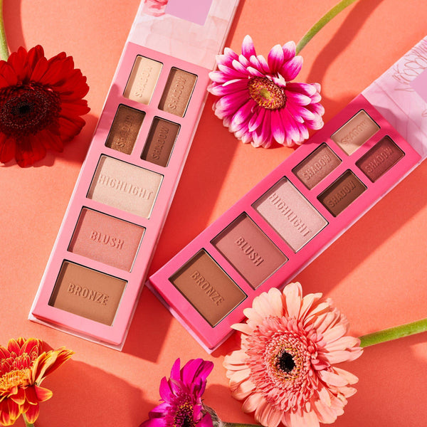 PALETTE FARD A PAUPIERES THE BROWN edition essence