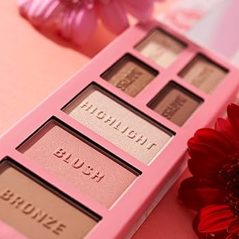 PALETTE FARD A PAUPIERES THE BROWN edition essence