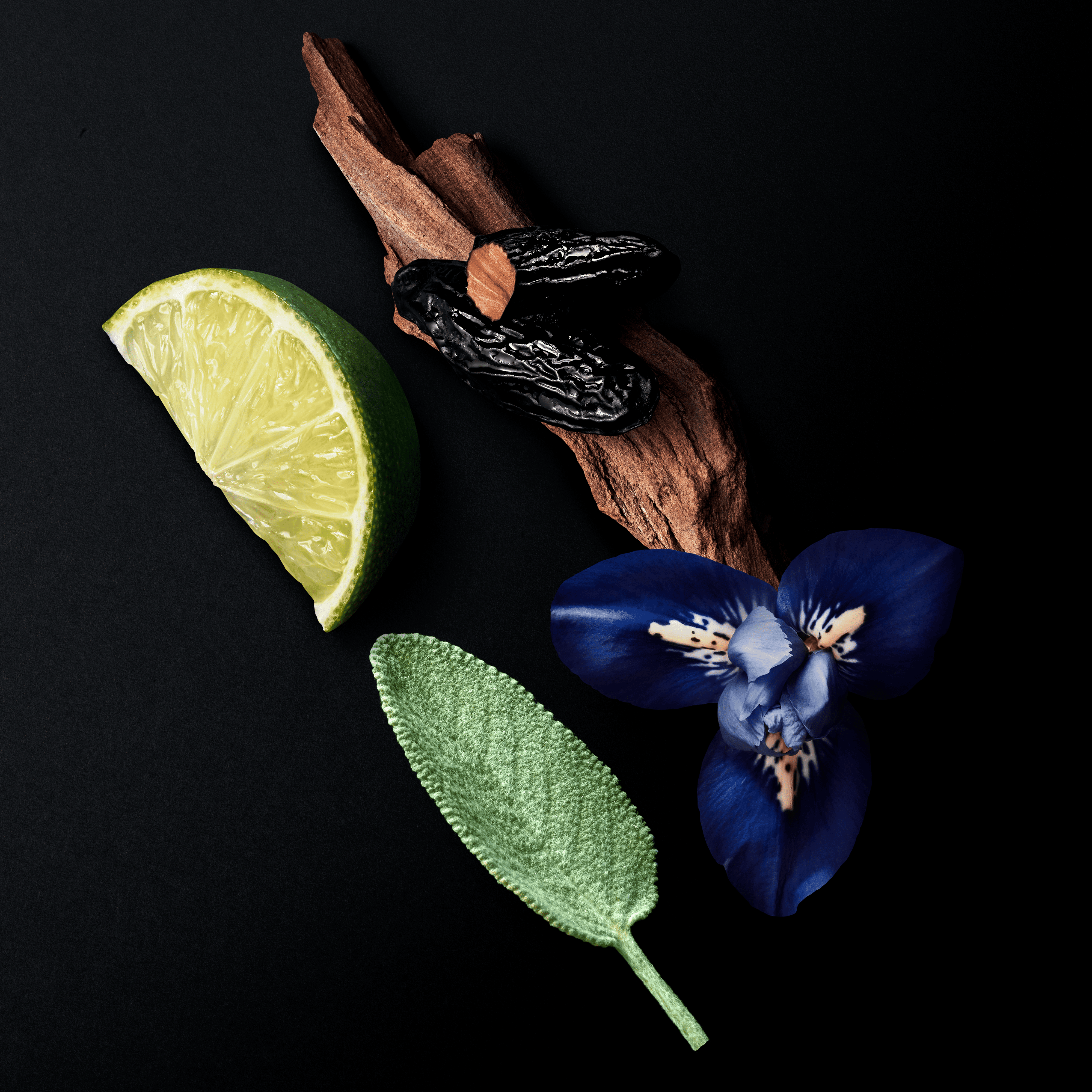 Giorgio Armani Armani Code Le Parfum