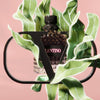 VALENTINO Uomo Born In Roma Eau de Toilette