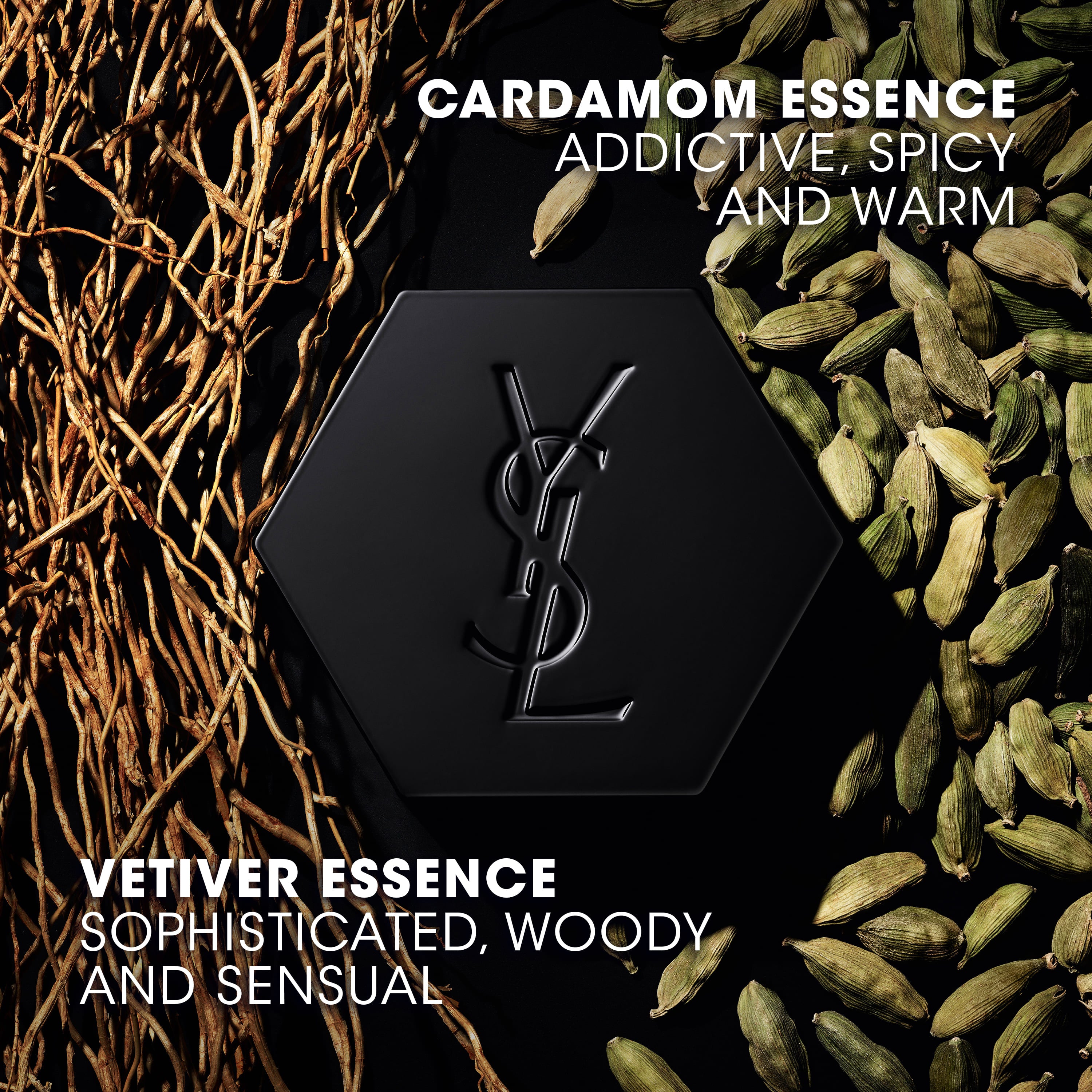 COFFRET LA NUIT DE L'HOMME