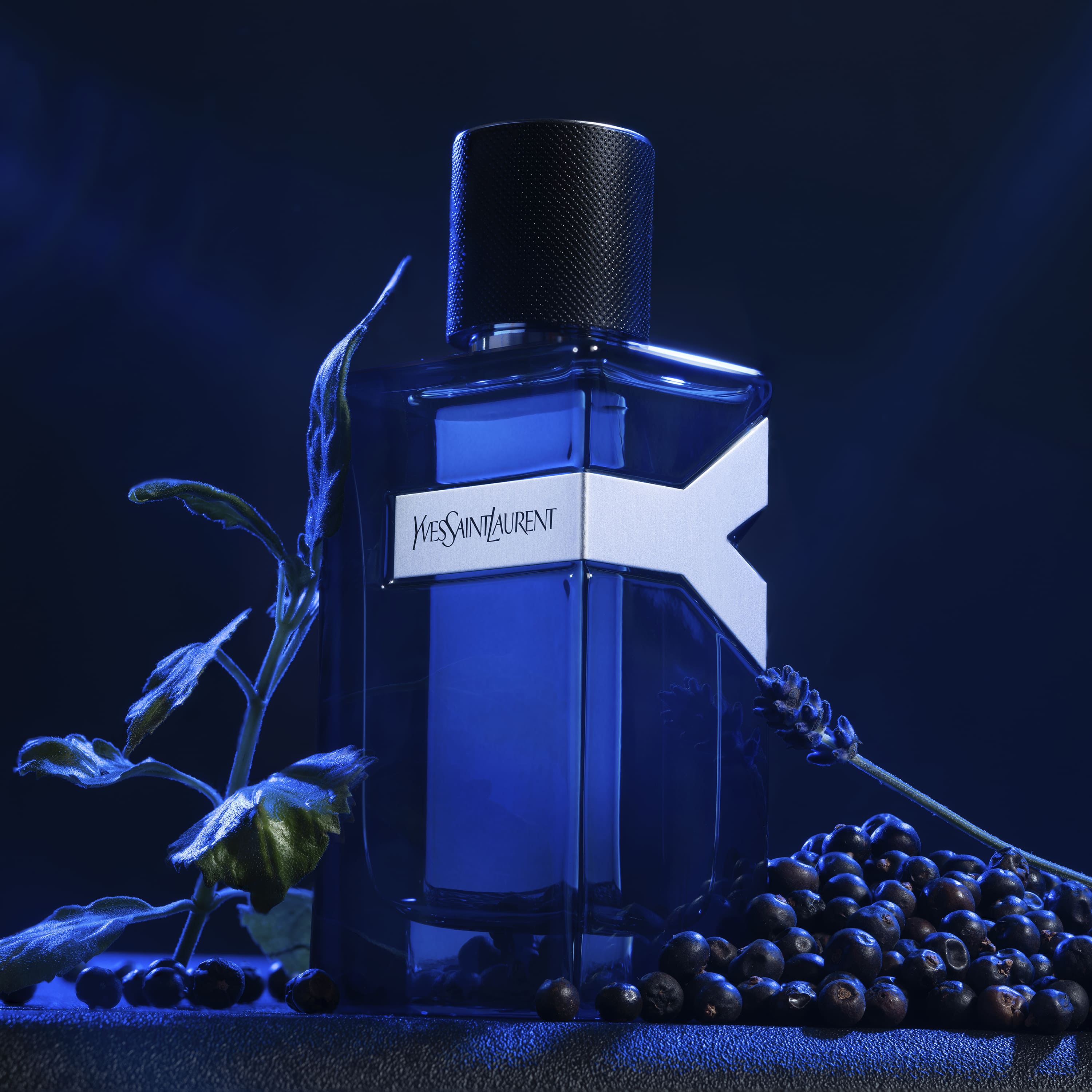 YSL - Y EDP Intense