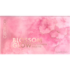 Blossom Glow Eye & Cheek Palette