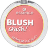 Essence blush 