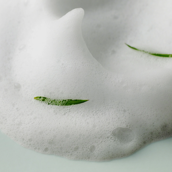 AHA. BHA. PHA 30 DAYS MIRACLE ACNE CLEAR FOAM 100ML Some By Mi