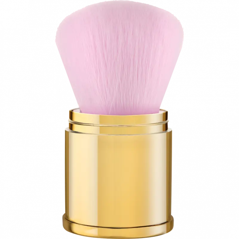 ALICE IN WONDERLAND CATRICE DISNEY PINCEAU KABUKI C01 catrice