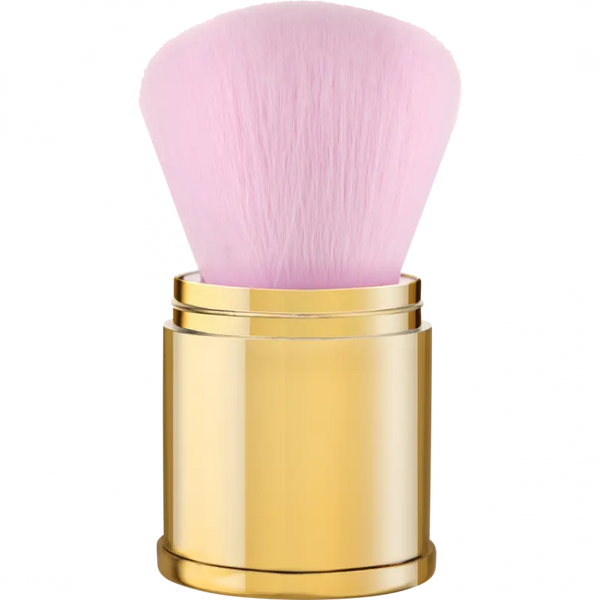 ALICE IN WONDERLAND CATRICE DISNEY PINCEAU KABUKI C01 catrice