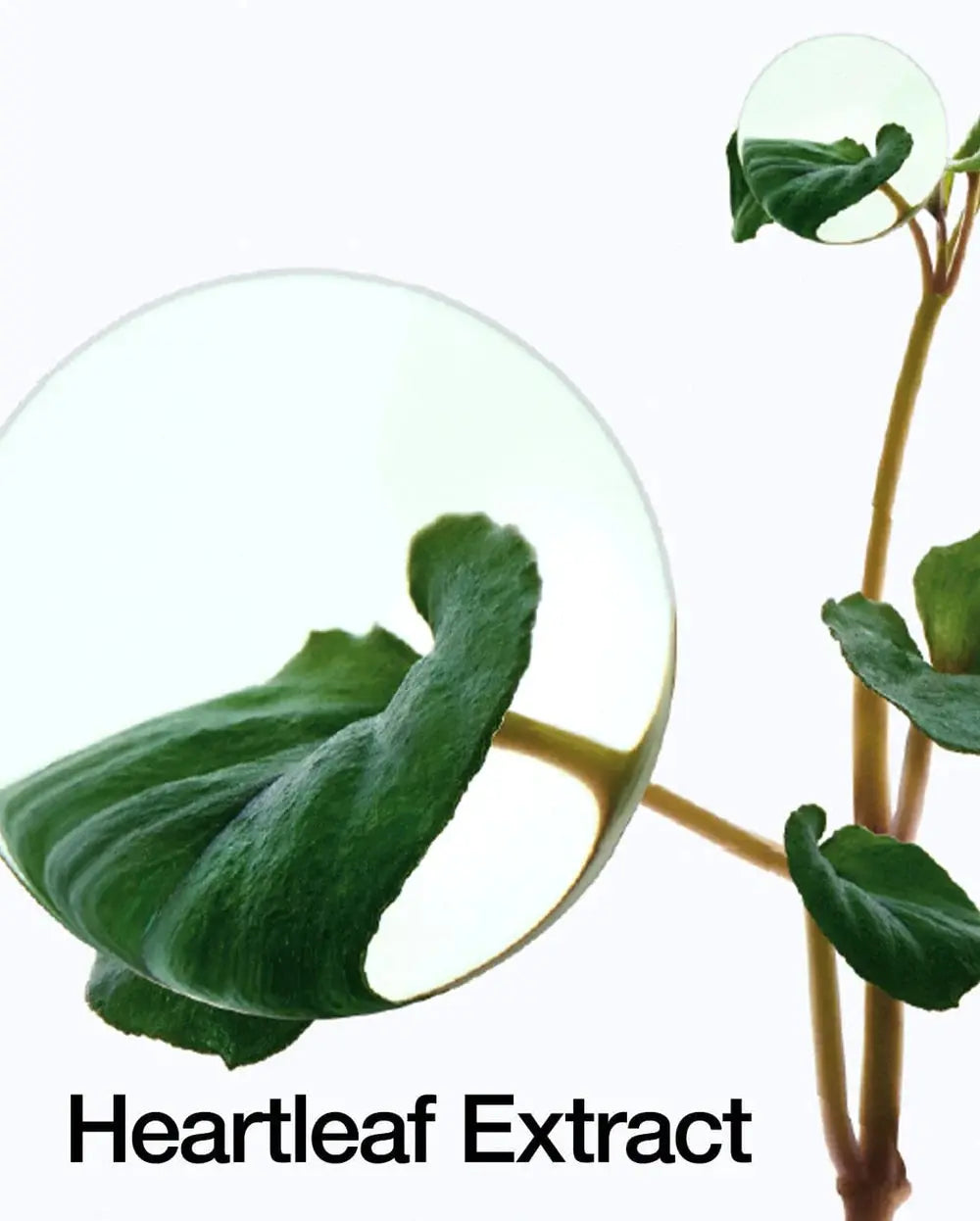 Anua - Heartleaf 77% Soothing Toner Anua