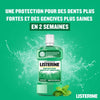 Bain de Bouche LISTERINE Protection Dents Et Gencives LISTERINE