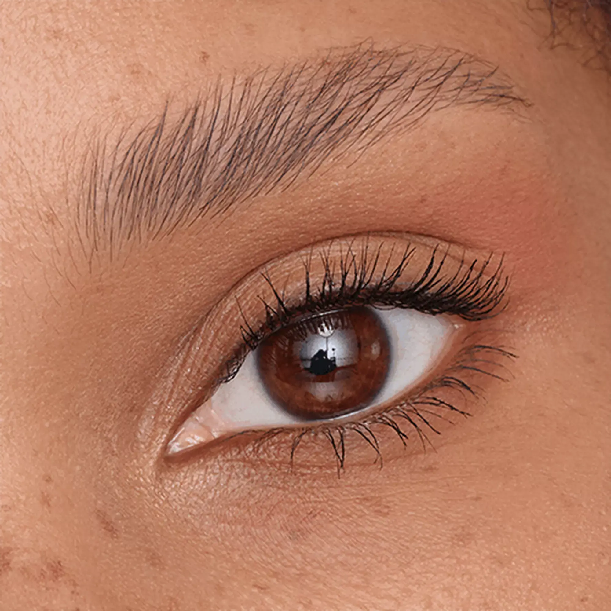 Brow Fix Soap Stylist catrice