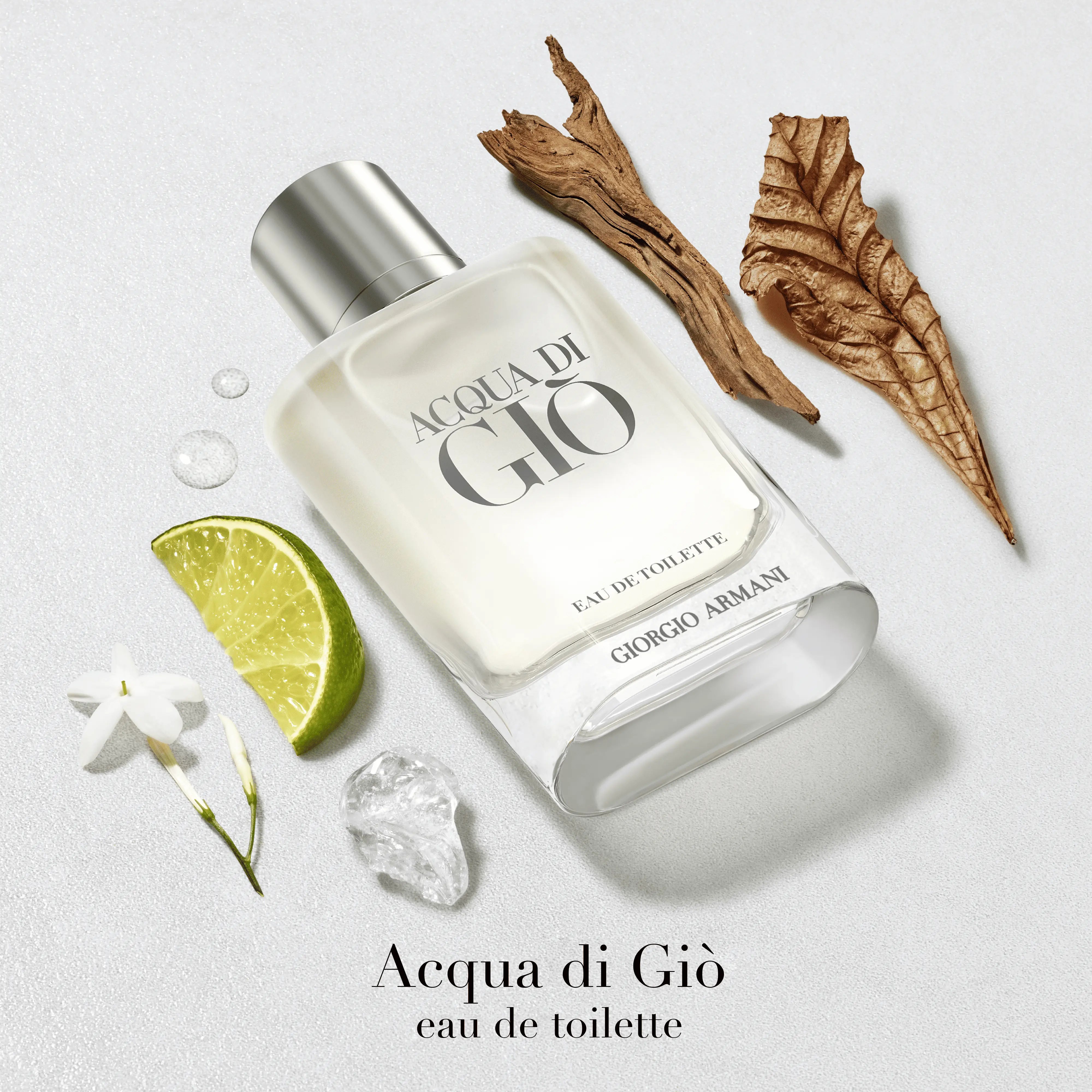 COFFRET ACQUA DI GIO EAU DE TOILETTE Giorgio Armani