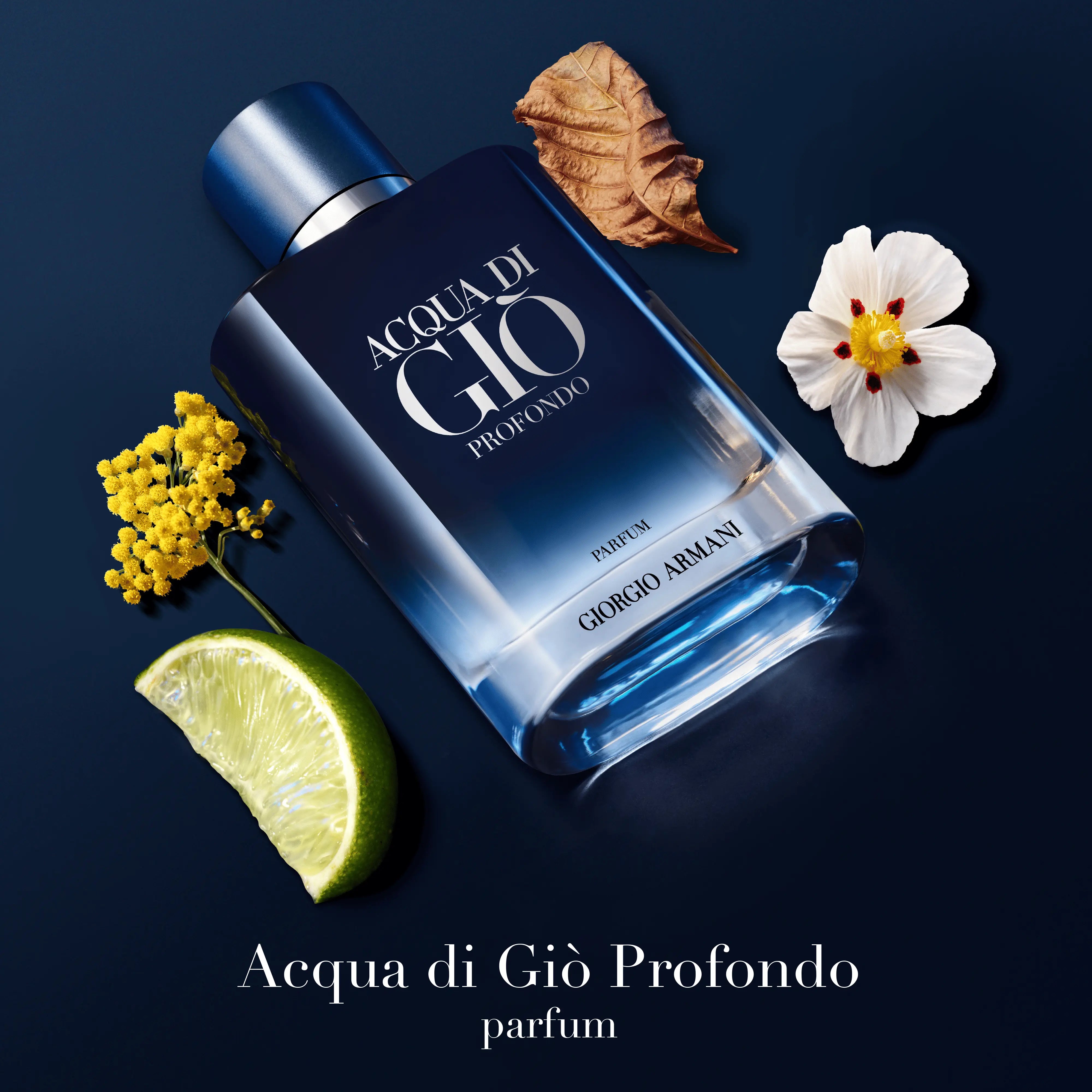COFFRET ACQUA DI GIO PROFONDO Giorgio Armani
