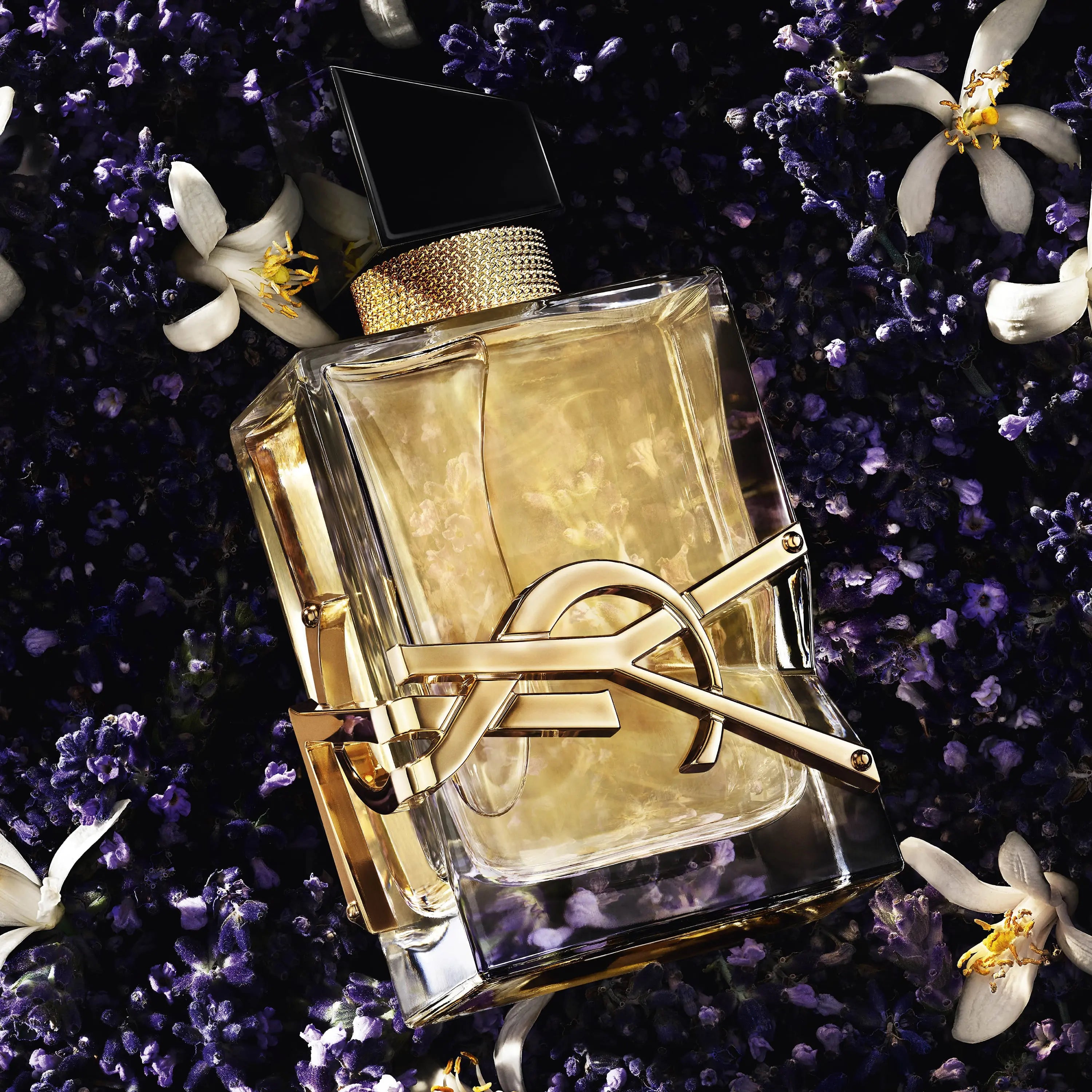 COFFRET LIBRE Yves Saint Laurent