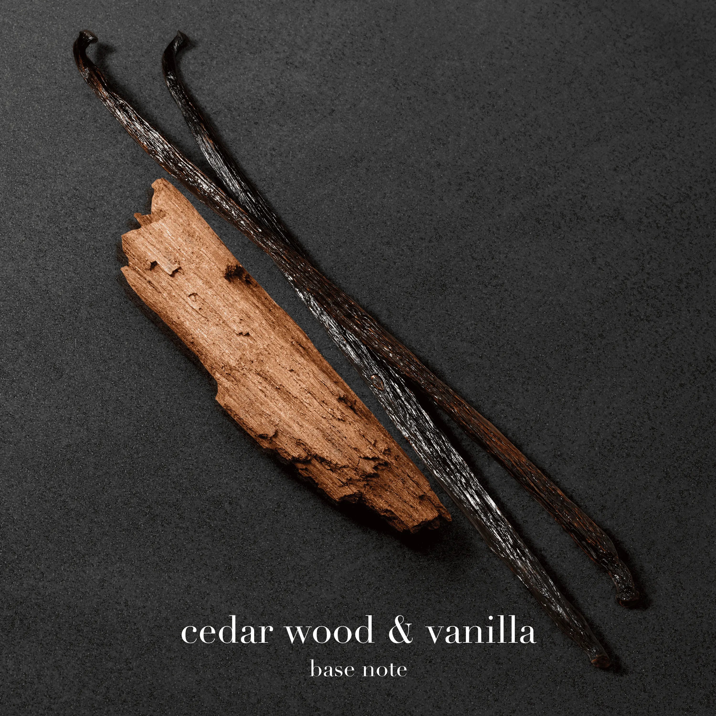 Emporio Armani Stronger With You Absolutely Giorgio Armani