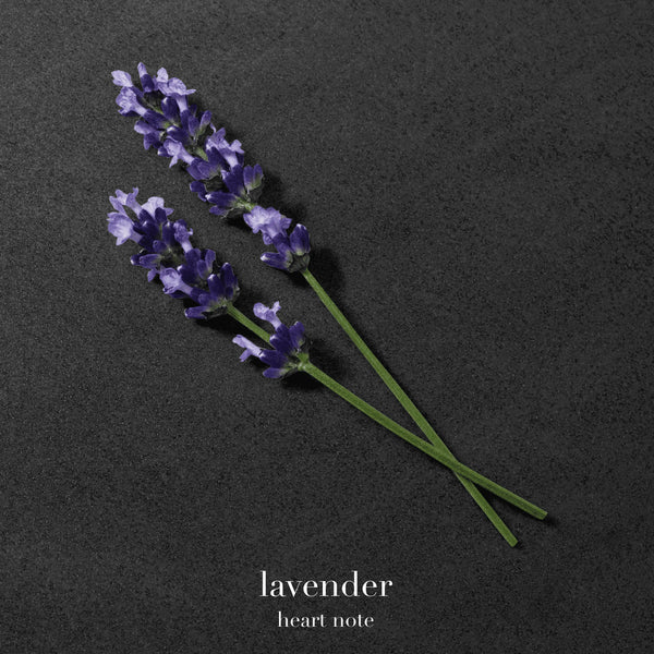 Emporio Armani Stronger With You Absolutely Giorgio Armani