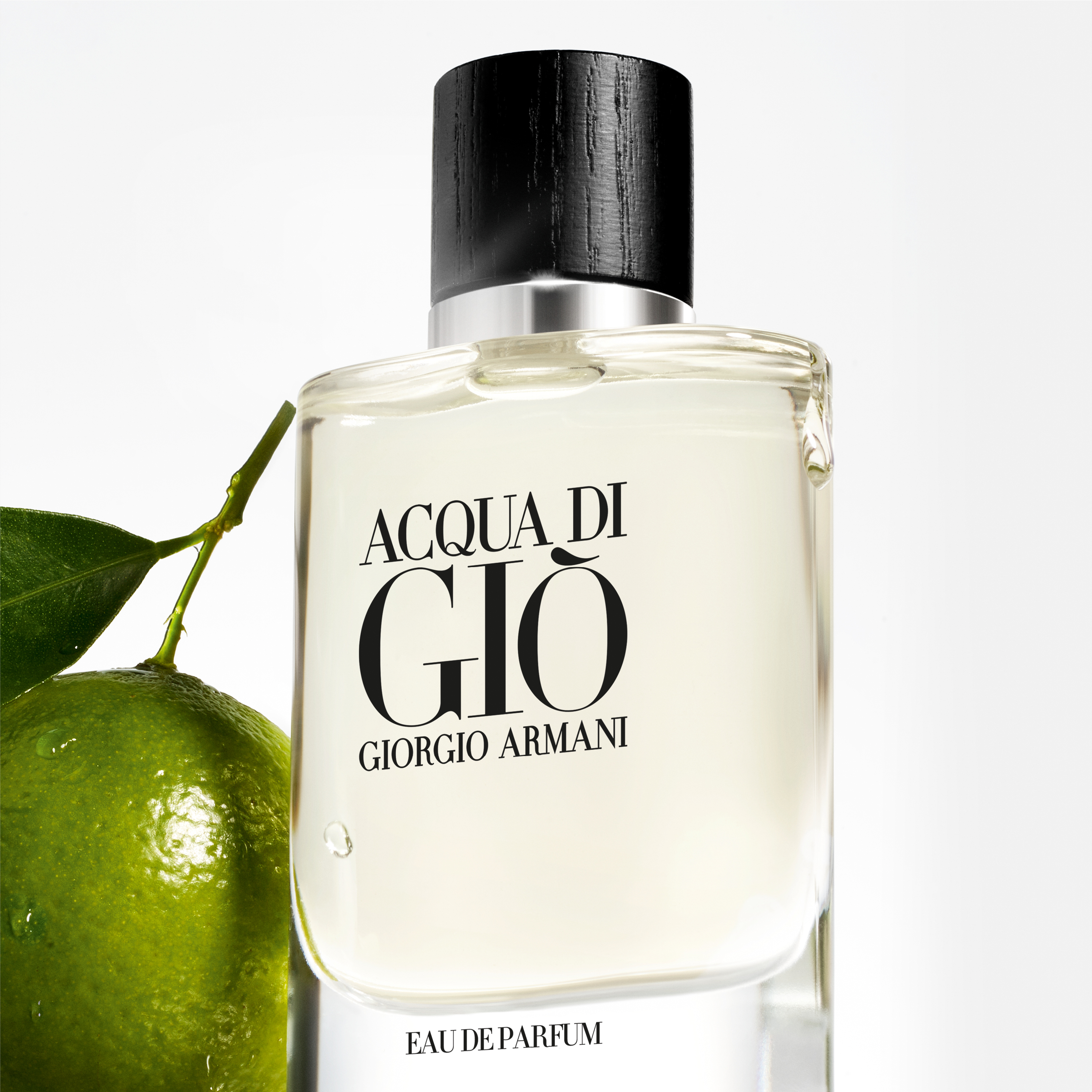 Giorgio Armani Acqua Di Gio EAU De Parfum (125ml)