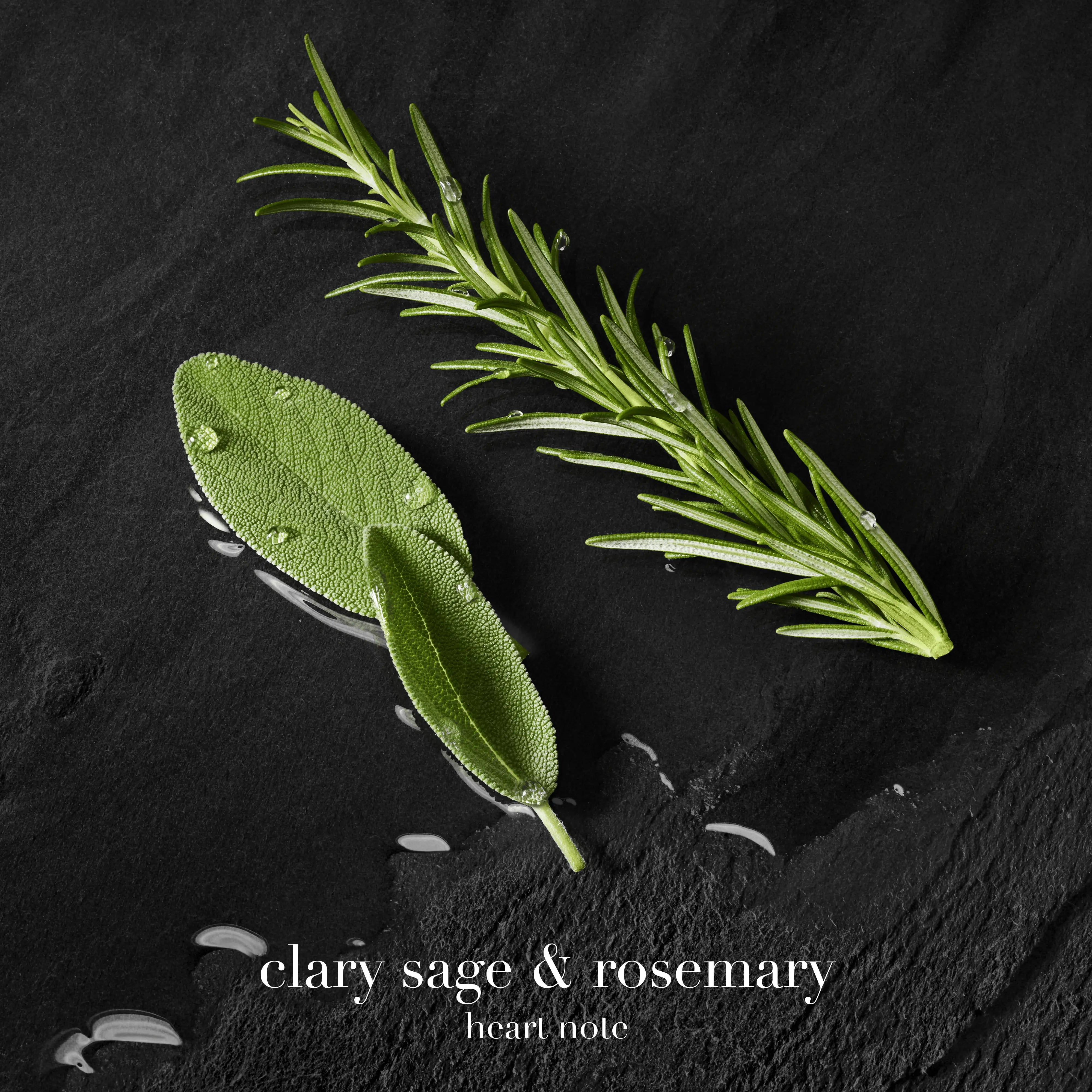 Giorgio Armani Acqua Di Gio Homme Le Parfum Giorgio Armani