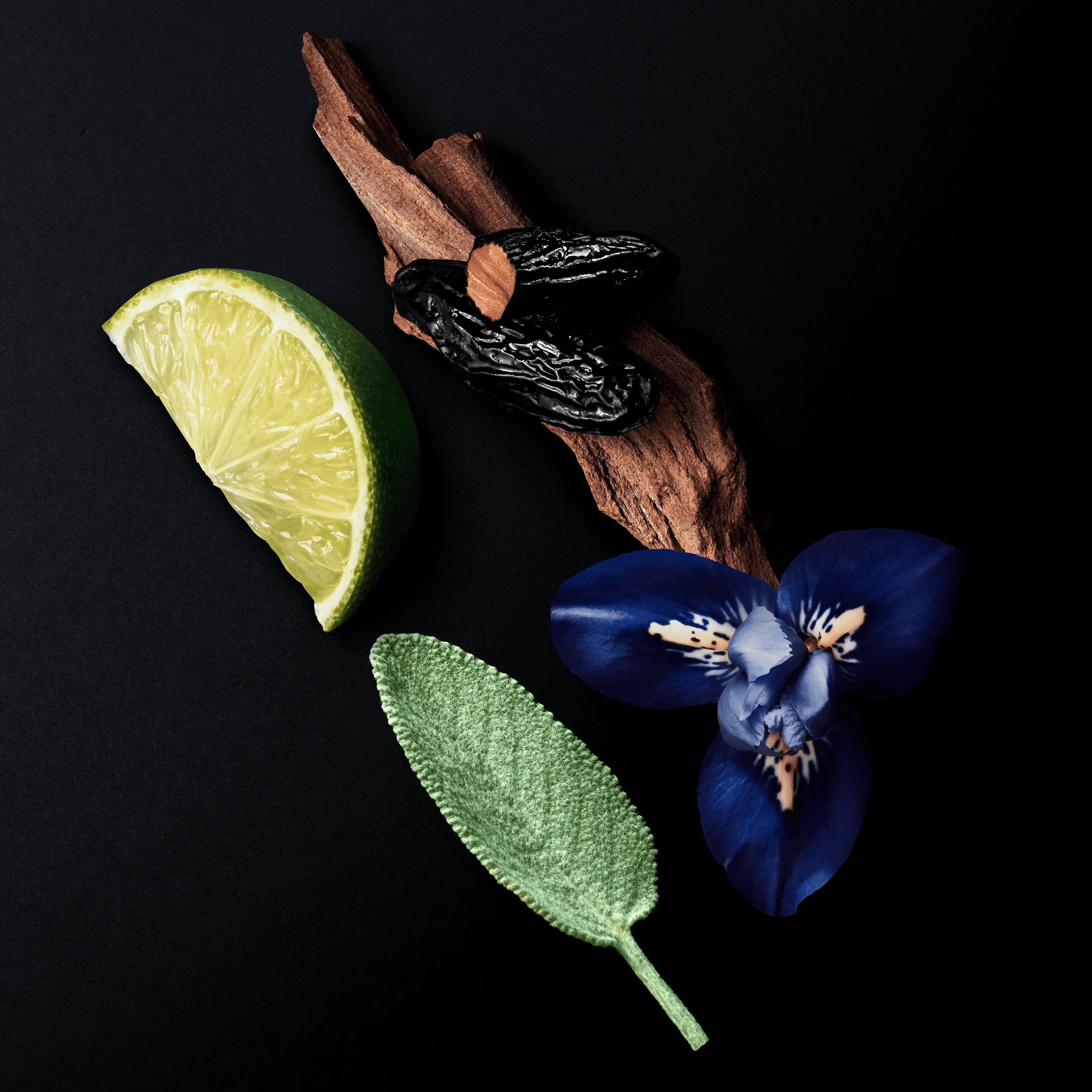 Giorgio Armani Armani Code Le Parfum Giorgio Armani