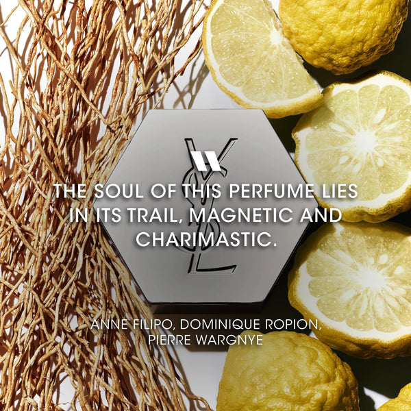 L'Homme Eau De Toilette Yves Saint Laurent