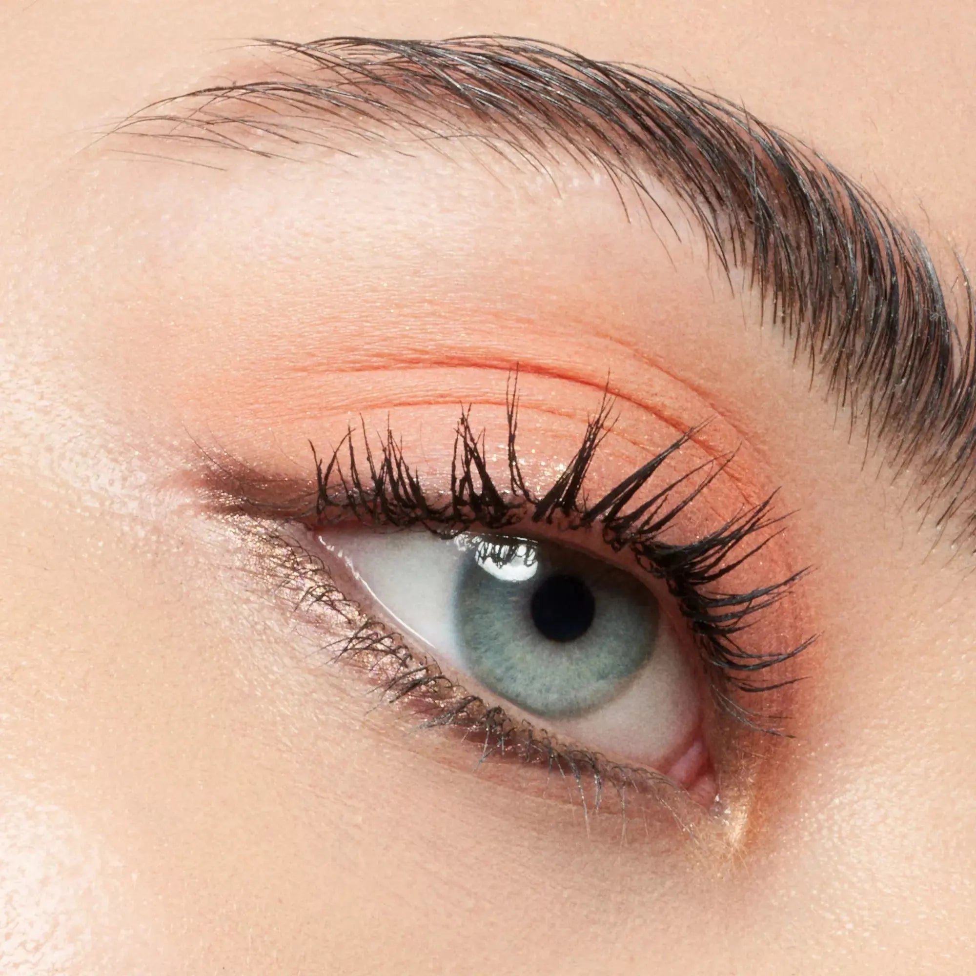 Mascara Colour & Fix Brow Gel Catrice catrice