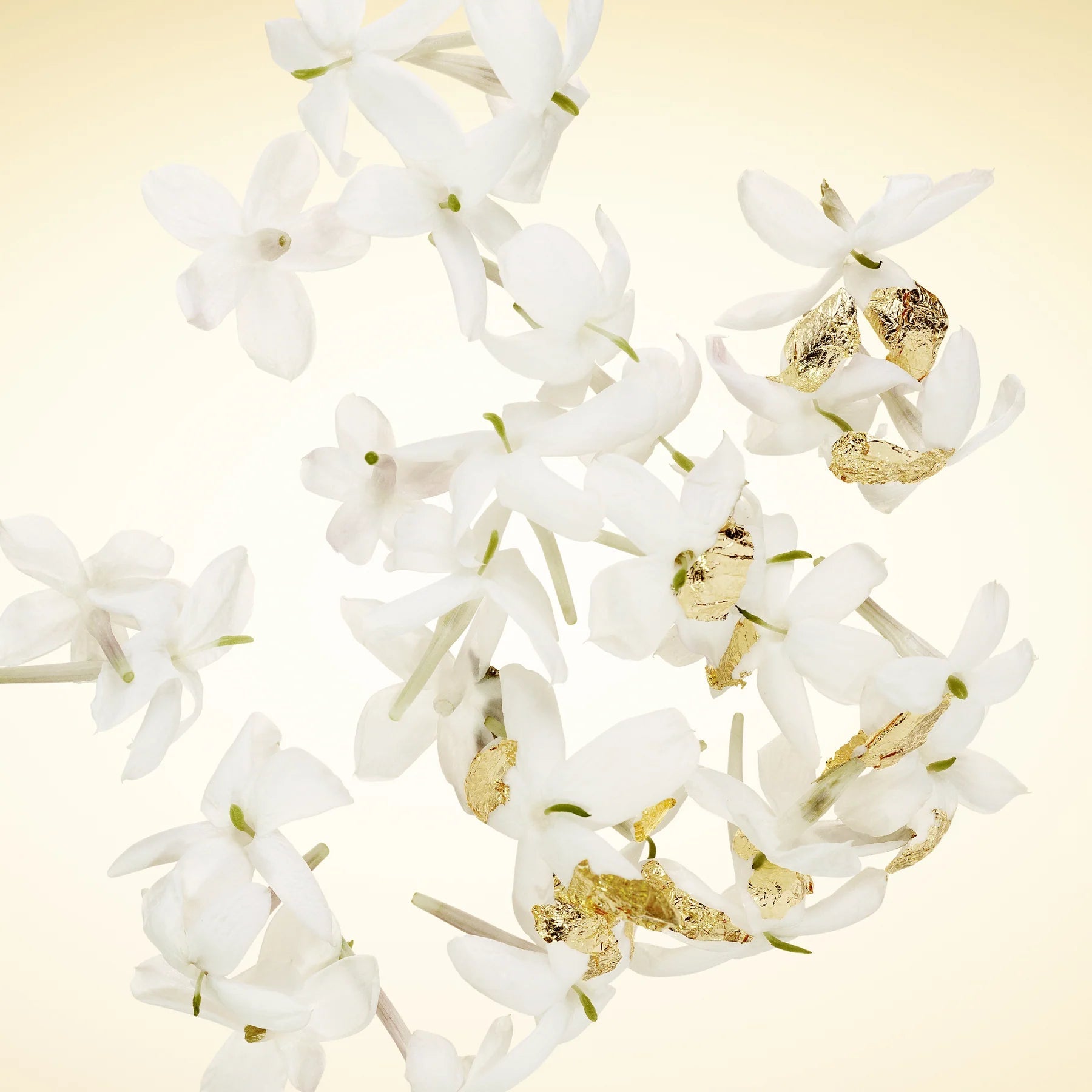 Mugler - Alien Goddess EDP Mugler