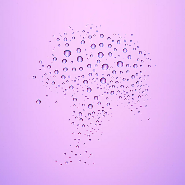 SPRAY FIXATEUR ULTRA LAST CATRICE catrice