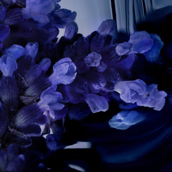 YSL - Y L' ELIXIR 60ML Yves Saint Laurent